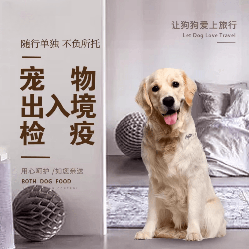 北京宠物托运到哥伦比亚猫狗宠物入境规定和