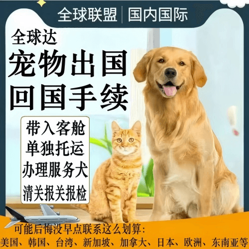 北京宠物托运到柬埔寨宠物入境规定和要求
