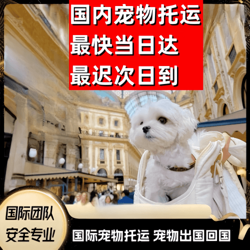 北京到澳大利亚（澳洲）宠物入境规定和要求
