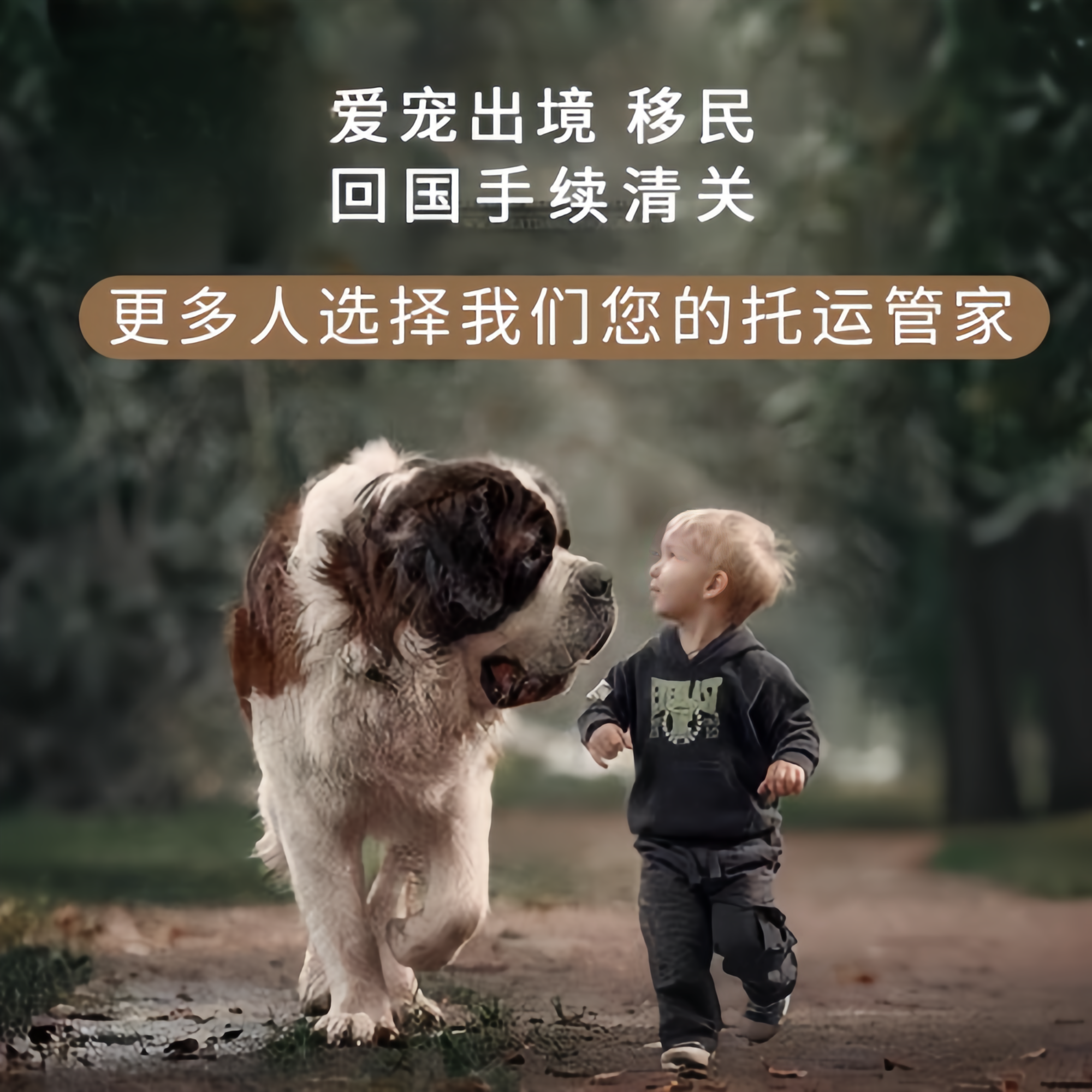 满财北京宠物全球达宠物托运在遵守入境目的地政策的条件
