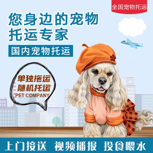 满财北京宠物全球达宠物托运作为专业的宠物运输代理机构